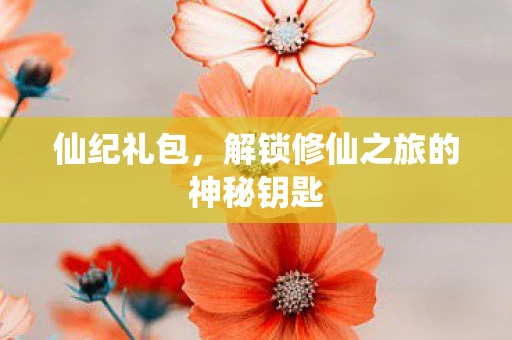 仙纪礼包，解锁修仙之旅的神秘钥匙