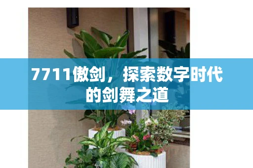7711傲剑，探索数字时代的剑舞之道
