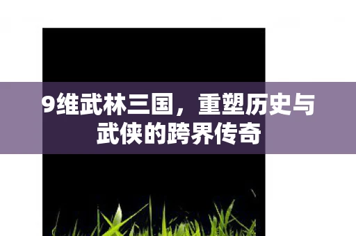 9维武林三国，重塑历史与武侠的跨界传奇