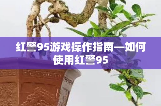 红警95游戏操作指南图片