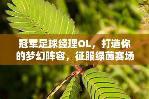 冠军足球经理OL，打造你的梦幻阵容，征服绿茵赛场
