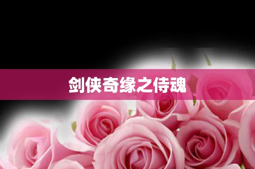 剑侠奇缘之侍魂