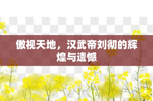 傲视天地，汉武帝刘彻的辉煌与遗憾