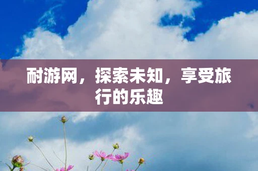 耐游网，探索未知，享受旅行的乐趣