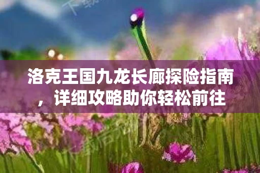 洛克王国九龙长廊探险指南图片