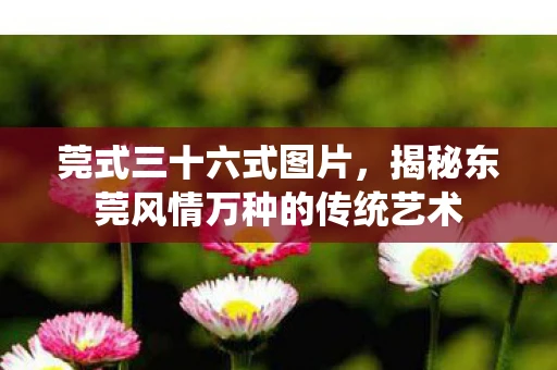 莞式三十六式图片，揭秘东莞风情万种的传统艺术