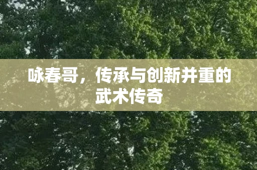 咏春哥，传承与创新并重的武术传奇