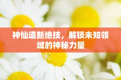 神仙道新绝技，解锁未知领域的神秘力量