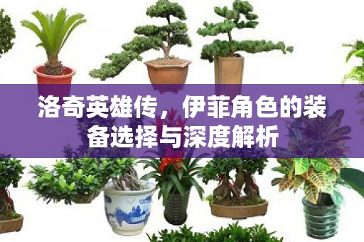 伊菲角色的装备选择与深度解析图片