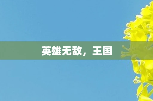 英雄无敌，王国