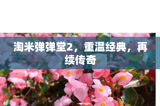 淘米弹弹堂2，重温经典，再续传奇