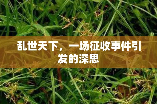 乱世天下，一场征收事件引发的深思