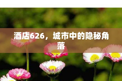 酒店626，城市中的隐秘角落