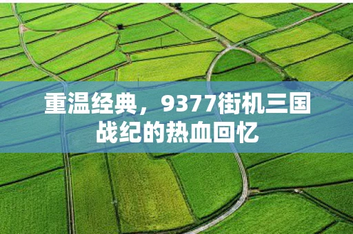 重温经典，9377街机三国战纪的热血回忆