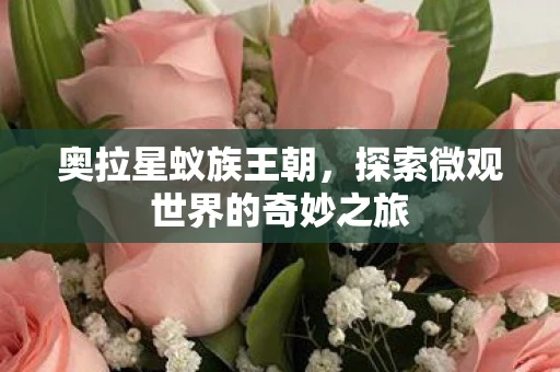 奥拉星蚁族王朝，探索微观世界的奇妙之旅