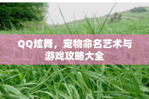 宠物命名艺术与游戏攻略大全图片