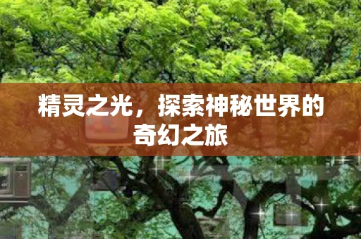 精灵之光，探索神秘世界的奇幻之旅