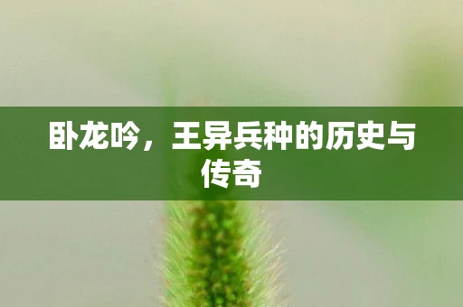 卧龙吟，王异兵种的历史与传奇