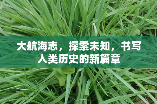 大航海志，探索未知，书写人类历史的新篇章