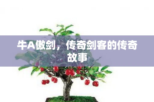 牛A傲剑，传奇剑客的传奇故事