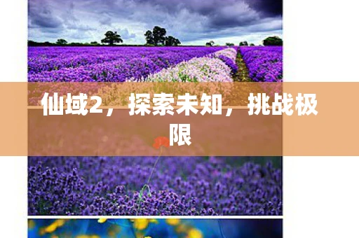 仙域2，探索未知，挑战极限