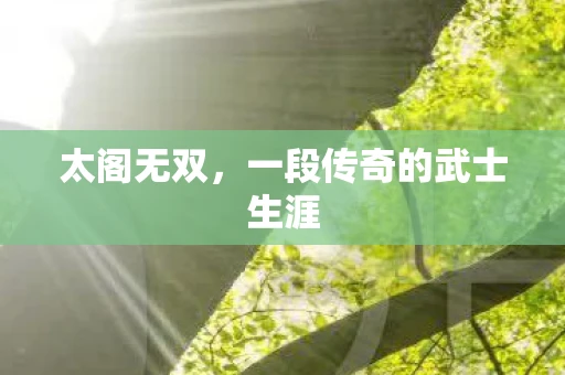 太阁无双，一段传奇的武士生涯