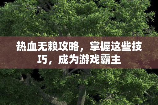 热血无赖攻略图片