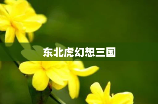 东北虎幻想三国