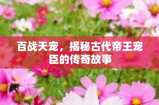 百战天宠，揭秘古代帝王宠臣的传奇故事