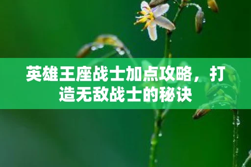 英雄王座战士加点攻略，打造无敌战士的秘诀