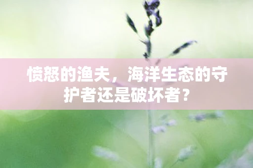 愤怒的渔夫，海洋生态的守护者还是破坏者？