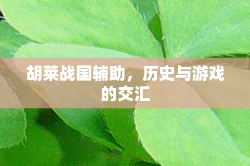胡莱战国辅助，历史与游戏的交汇