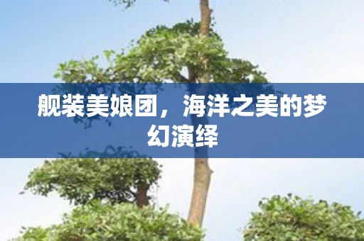 舰装美娘团，海洋之美的梦幻演绎