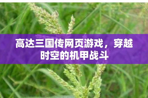 高达三国传网页游戏，穿越时空的机甲战斗