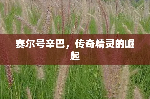 赛尔号辛巴，传奇精灵的崛起