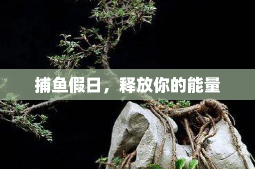 捕鱼假日，释放你的能量