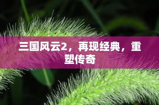 三国风云2，再现经典，重塑传奇