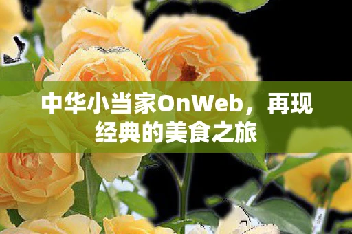 中华小当家OnWeb，再现经典的美食之旅
