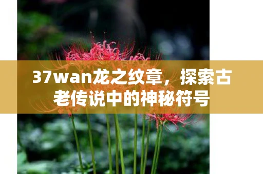 37wan龙之纹章，探索古老传说中的神秘符号