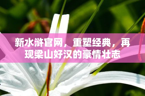 新水浒官网，重塑经典，再现梁山好汉的豪情壮志