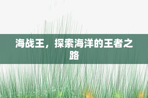 海战王，探索海洋的王者之路