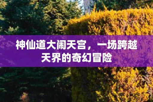神仙道大闹天宫，一场跨越天界的奇幻冒险