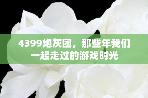 4399炮灰团，那些年我们一起走过的游戏时光