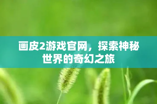 画皮2游戏官网，探索神秘世界的奇幻之旅