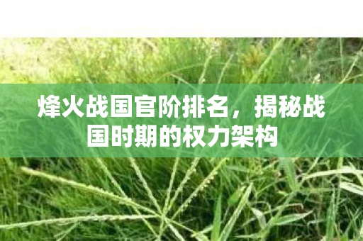 烽火战国官阶排名，揭秘战国时期的权力架构