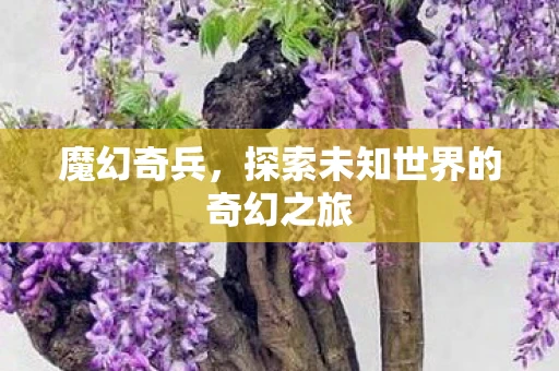 魔幻奇兵，探索未知世界的奇幻之旅