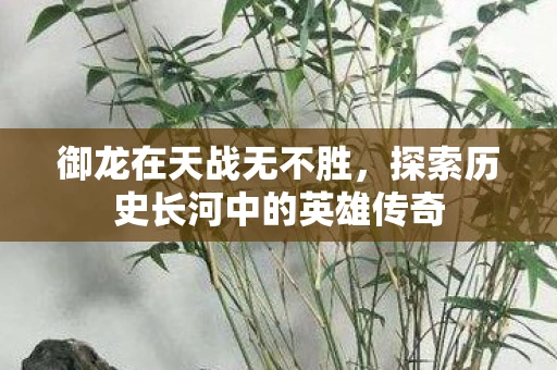 御龙在天战无不胜，探索历史长河中的英雄传奇