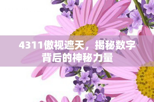 4311傲视遮天，揭秘数字背后的神秘力量