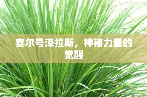 赛尔号泽拉斯，神秘力量的觉醒