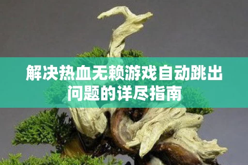 解决热血无赖游戏自动跳出问题的详尽指南图片